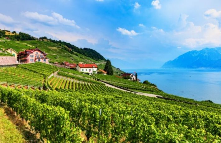 Swiss Alps Swiss Alps